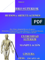 Miembro Superior Huesos y Articulaciones
