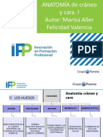 Anatomia Craneo y Cara Con Concentracion de Higienista Bucodental