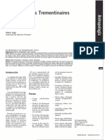 El Oficio de Las Trementinaires PDF