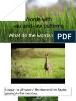 words with -au and -aw patterns