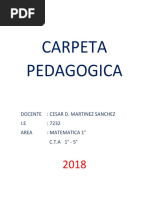 CARPETA PEDAGOGICA