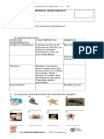 Examen Animales Invertebrados 4 Basico