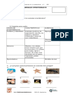 96644713-Examen-Animales-Invertebrados-4-basico.doc