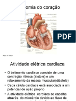 seminarioEletro-Biofísca-corrig POSTAR NO SITE!