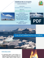 CALENTAMIENTO GLOBAL Exposición de Contaminacion Ambiental