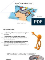 Copia de Atención y Memoria PDF