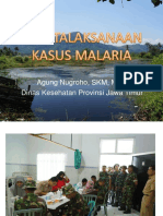 Tatalaksana Kasus Malaria Agung