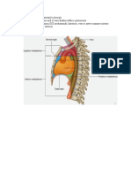 Afectiuni Ale Mediastinului