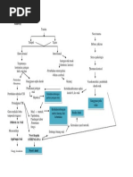 Pathway Stroke Hemoragik | PDF
