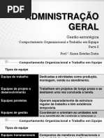 Comportamento Organizacional e Trabalho Em Equipe - Parte 2