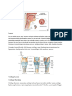 Fix Anatomi Larynx 1