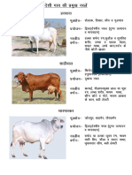 257387956 NABARD Dairy Farming Project PDF