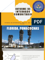 Informe de Internado Comunitario-Pomacochas, Amazonas