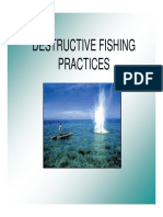 Destructive Fishing Practices