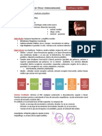 Área Audiología y Equilibrio