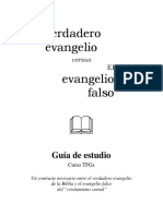 TFGs-SG.pdf