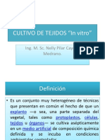 Cebolla PDF
