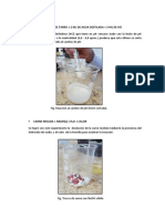 Resultados y Discusiones