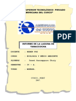 Informe Laguna Yanaccocha IST Privada Americana Cusco 2007