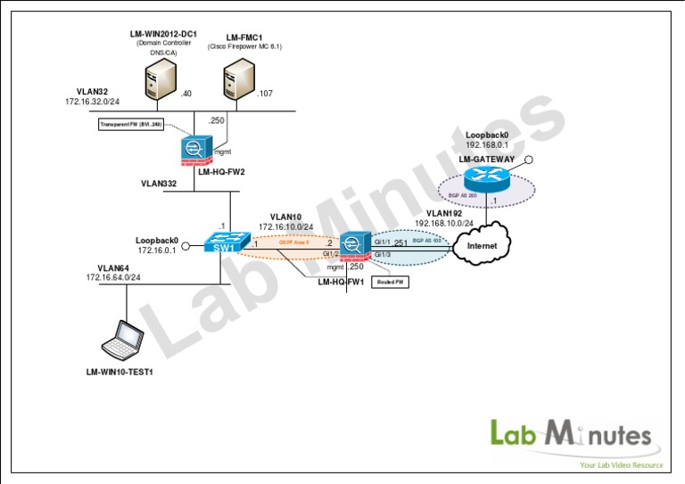 BGP and VLAN Configuration Overview | PDF