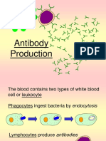 Antibody Production.ppt