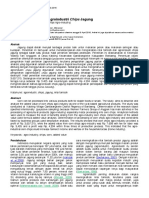Analisis Nilai Tambah Agroindustri Chips Jagung PDF