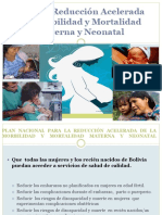 04 Avances Del Plan de Reduccion Acelerada de Muerte Materna Final PDF