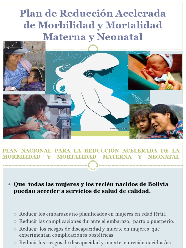 04 Avances Del Plan de Reduccion Acelerada de Muerte Materna Final PDF ...