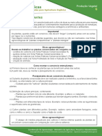 6 Consorcio de Plantas PDF