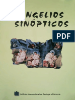 Evangelios Sinópticos, IITD, Madrid 2009