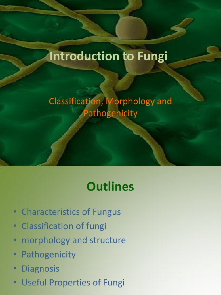 Fungus intelligence overview