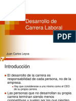 Desarrollo de Carrera Laboral