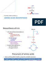 N-Metabolism AA III 2018 Handout