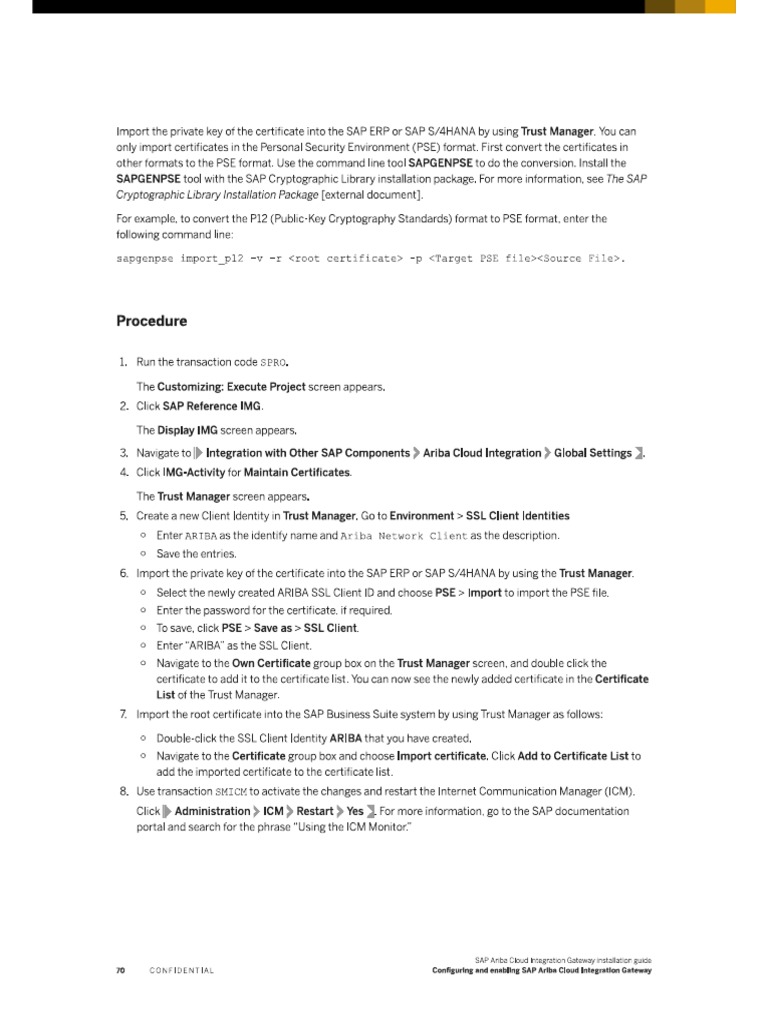Private Key Conversion To PSE File (STRUST) | PDF
