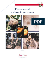 Diseases of Citrus in Arizona: Cooperative Extension