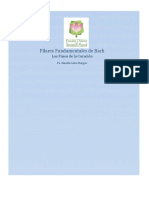 Apuntes de los Pasos de la Curación BACH .pdf