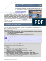 mutaciones videos.pdf