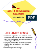 Gen Kromosom Kelamin