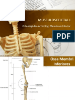 Osteologi Dan Arthrologi Membrum Inferior
