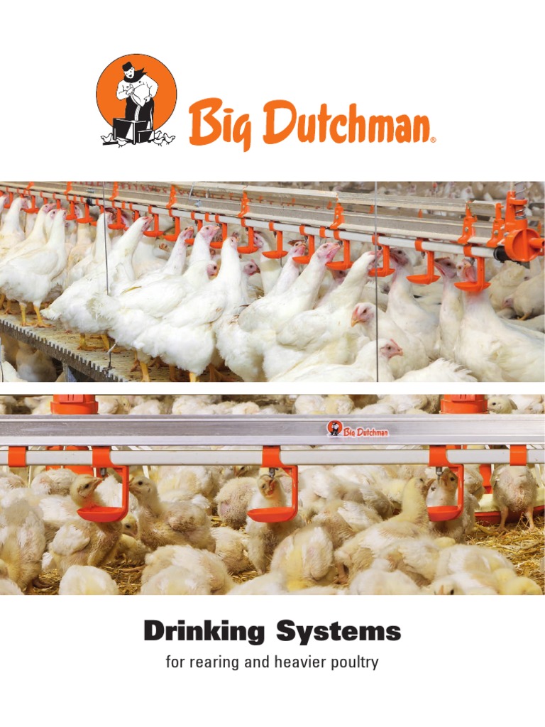 Bird weighing - Big Dutchman