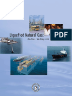 LNG spec.pdf