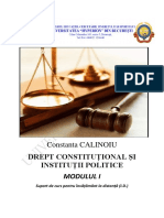 DCIP Constanta Calinoiu PDF