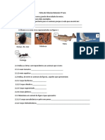 Ficha de Ciências Naturais 5º ano.pdf