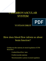 k2 Cerebrovascular System