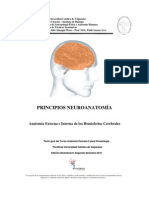 Neuroanatomia de Hemisferios Cerebra Les Kine PUCV 2010