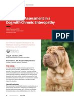Nutritional Assessment in A Dog With Chronic Enteropathy PDF