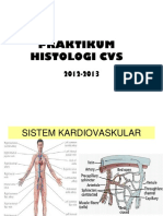 Histologi Cvs