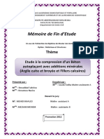 Beton Auto Plaçant PDF