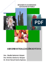 Agroindustrialización de la pitaya