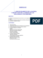 Unidad Iv La Energia en Los Organismos Consumidores